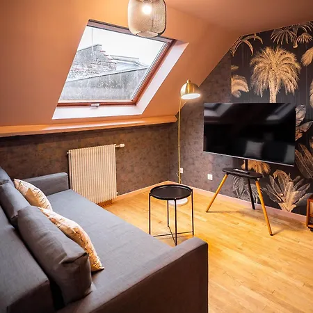 Escale Tropical Chic - Hypercentre St-quentin * Saint-Quentin (Aisne)