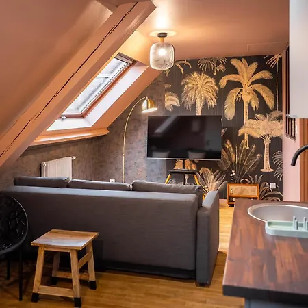 Escale Tropical Chic - Hypercentre St-quentin Апартаменты
