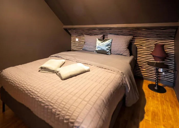 Escale Tropical Chic - Hypercentre St-quentin Apartment